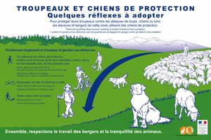 Warning sign about livestock guardian dogs, seen in the French Alps Warning sign about livestock guardian dogs, seen in the French Alps