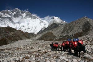 The bags arriving at Island Peak Base Camp, with Lhotse and Island Peak in the backgound